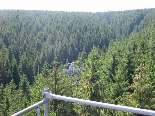 Lange Bramke nach Westen mit Messturm: Heute stockt ein homogener und gleichaltriger Fichtenreinbestand im Einzugsgebiet der Langen Bramke. Von den Messtürmen können physiologische Messungen in den Fichtenkronen vorgenommen werden (Foto H. Meesenburg)